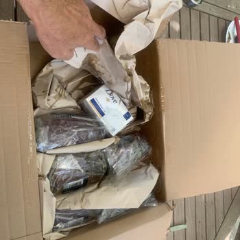 Hasarlı Amazon Prime Siparişi