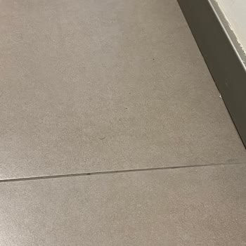 Resim İstanbul Memnuniyetsizliği