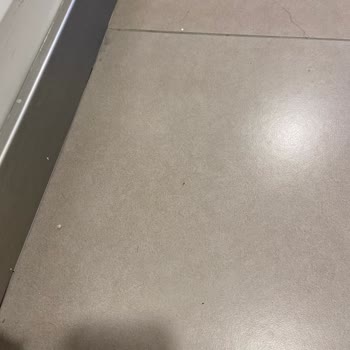 Resim İstanbul Memnuniyetsizliği