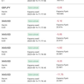 Atlas Yatırım Menkul Değerler Forex Yanıltıyor