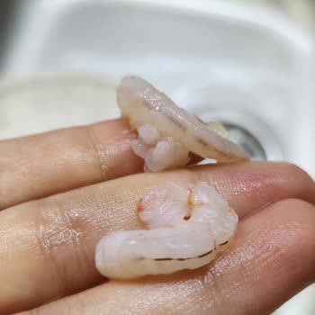 Balık Dünyası Et Karides Temizlenmeden Paketleniyor