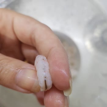 Balık Dünyası Et Karides Temizlenmeden Paketleniyor