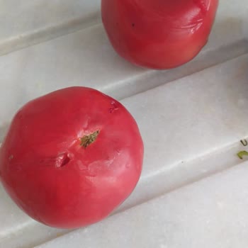 Yunus Market Bozulmuş Patlak Kokmuş Süt. Çürük Ezilmiş Domates