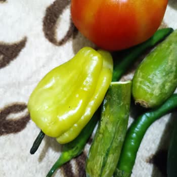 Arçelik Buzdolabı Yetkili Servis