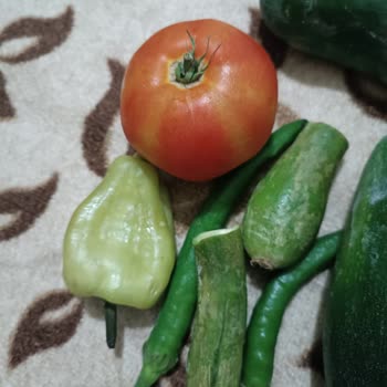 Arçelik Buzdolabı Yetkili Servis