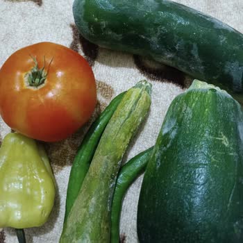 Arçelik Buzdolabı Yetkili Servis