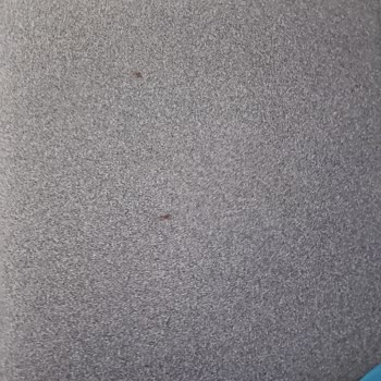 Emirbey Koltuk Temizleme Memnuniyetsizliği