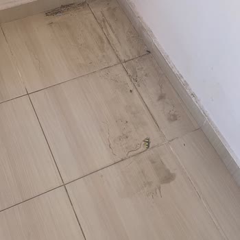 Doğay Temizlik Muhatap Olacak Bir Kişi Dahi Yok