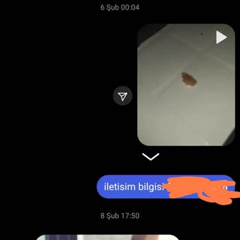 Haribo İlgisizliği Ve İçinden Çıkan Şey
