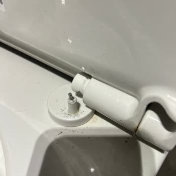 Vitra Klozet Kapağı Menteşesi Kırılması