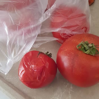 Altınkılıç Kefirix Kefir Aldım Ekşimiş Ne Yazık Ki