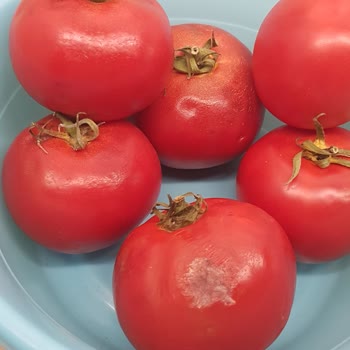Altınkılıç Kefirix Kefir Aldım Ekşimiş Ne Yazık Ki