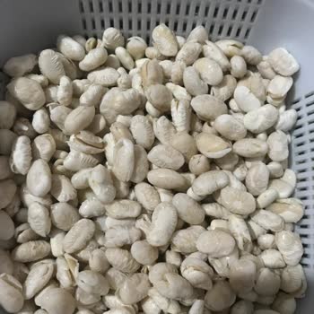 Duru Bulgur Kuru Fasulyenin Parçalanması