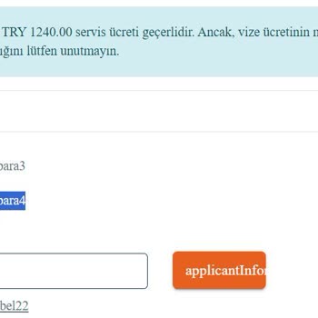 VFS Global Sorunları Randevu Alamama