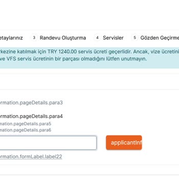 VFS Global OTP Kronik Hatası