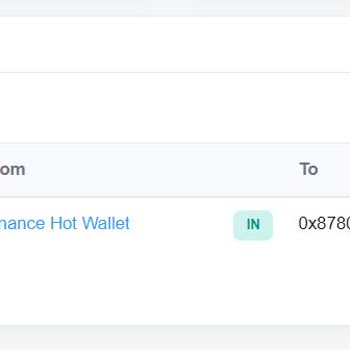 Bzetmex Gönderdiğim Coin Borsa Cüzdanına Gelmesine Rağmen Gözükmüyor