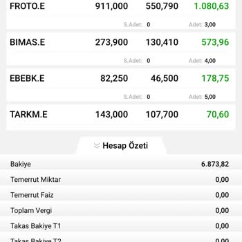 VakıfBank T1 T2 Ve Borsa İşlem Limiti Kısıtlama Sorunu