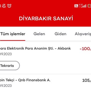 Papara Sahte Hesap Açılması