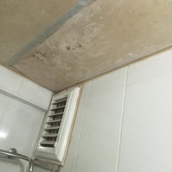 Özgür Otel (İzmit) Sesten Ve Pislikten Uyuyamıyoruz