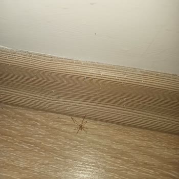 Jolly Tur - Casa Del Sole Otel Kuşadası Mağduriyeti😡