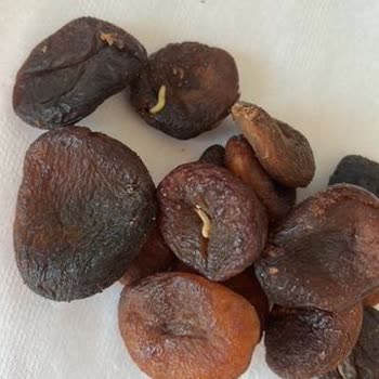 BİM Gün Kurusu Kayısı İçinden Kurt Çıktı