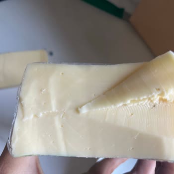 Mis Küflü Taze Kaşar Peyniri