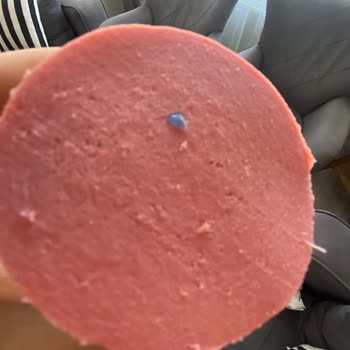 Banvit Salamın İçinden Yabancı Cisim Çıktı