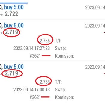İntegral Menkul Değerler İntegral Yatırım Stop Loss İşlemini Yapmamasından Kaynaklı Zararlar