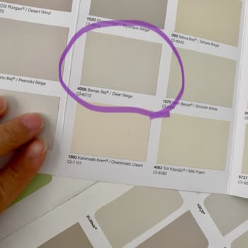 Polisan Boyanın Rengi İstediğim Gibi Değil