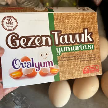 Ovalyum Yumurta Küçük Ebat!