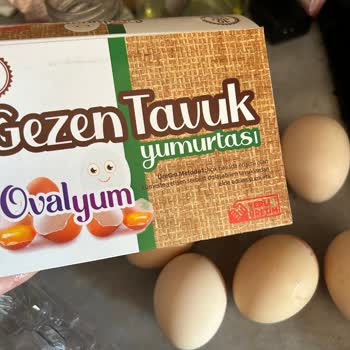 Ovalyum Yumurta Küçük Ebat!