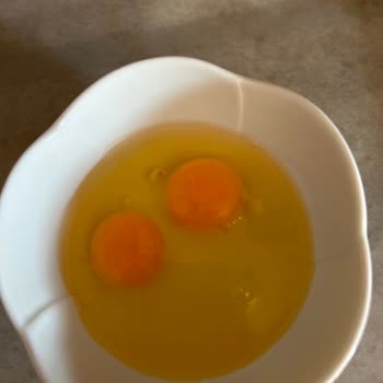 Ovalyum Yumurta Küçük Ebat!