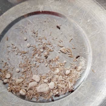 A101 Firmasının Böcekli Unu