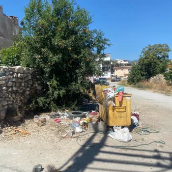 Aydın Büyükşehir Belediyesi İstimlak İşlemleri Yola Terk