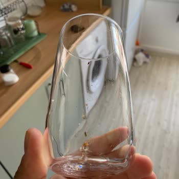 Profilo Bulaşık Makinesi Lekeli Çıkarıyor