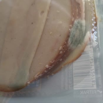 Namet Piliç Füme Küflenme