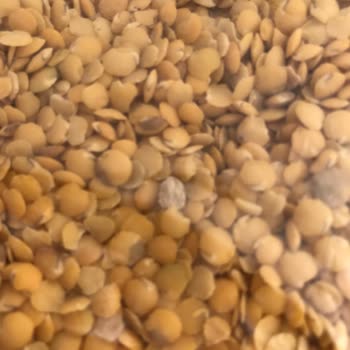 Makarna Lütfen Sarı Mercimek İçinden Taşlar Çıktı