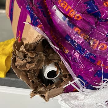 Kemal Kükrer Hem Bozuk Hem Kırık Daha Ne Olsun