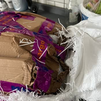 Kemal Kükrer Hem Bozuk Hem Kırık Daha Ne Olsun