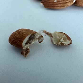 Migros Kurtlu Çiğ Badem