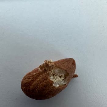 Migros Kurtlu Çiğ Badem