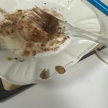 Bağ Pastanesi Yabancı Madde Çıkması