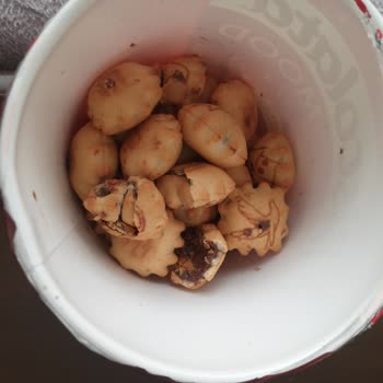 Biscolata Şölen Firmasi Sürekli Kırılmış Ezilmiş Bisküvi