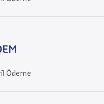Pidem Restorant Ödeme Yapmama Rağmen Yemeğimi Vermedi