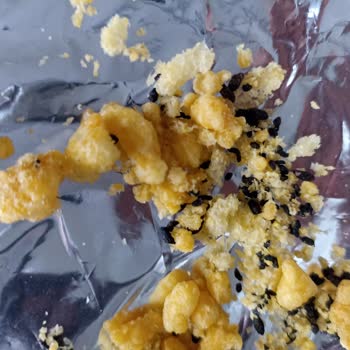 Çerezza Fare Dışkıları Mevcut