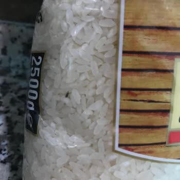 Dokuzlar Bakliyat Böcek Sorunu