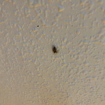 Golden Age Hotel Memnun Kalmama Şikayet