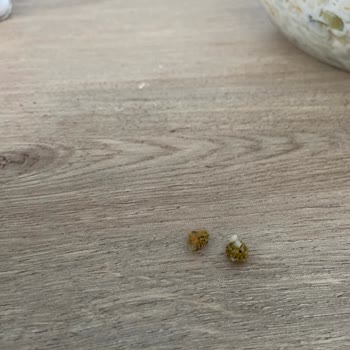 Tukaş Bozuk Ya Da Sorunlu Ürün