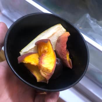 Altus Buzdolabı Küf Yapıyor