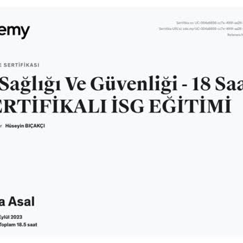 Udemy Sen Aldığım Sertifika E Devlet Onaylı Değil